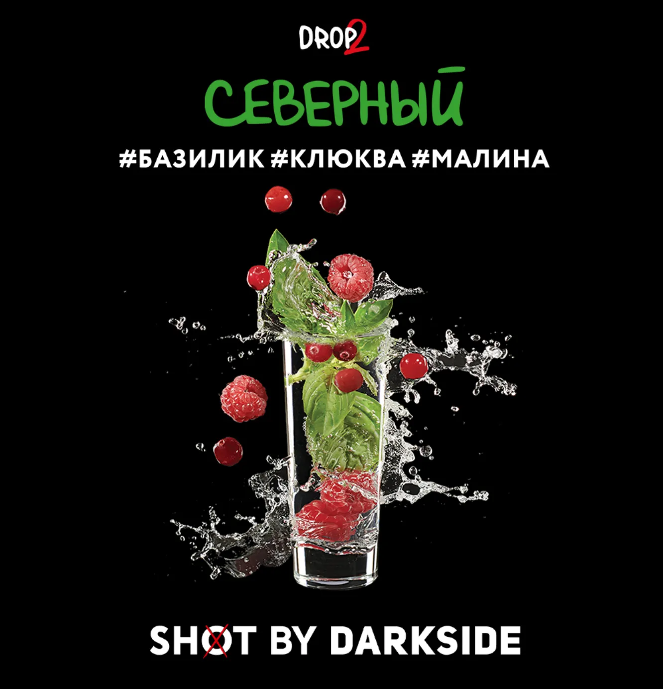 изображение товара Табак Darkside SHOT (Северный) 120г
