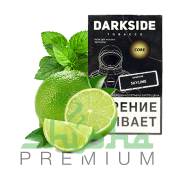 изображение товара ТАБАК DARKSIDE 100 ГР, ВКУС SKYLIME (лайм, мята)