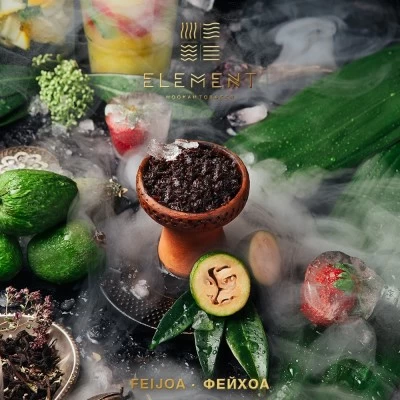 изображение товара Табак Element (Земля) Feijoa Lemonade (Лимонад Фейхоа) 200гр