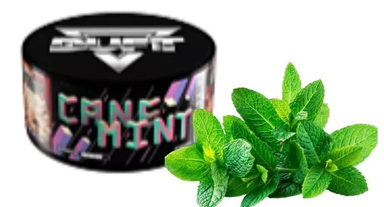 изображение товара Duft Cane mint 20г