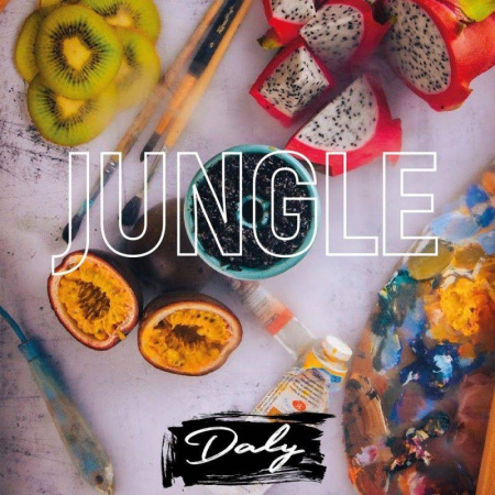 изображение товара Кальянная смесь Daly 50 г Jungle (Маракуйя, питахайа, киви)