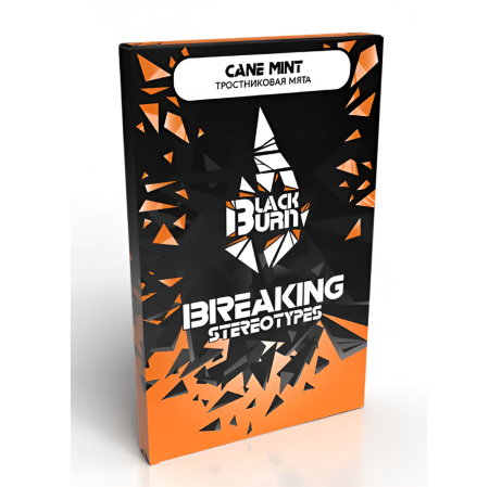 изображение товара Табак Black Burn - Cane Mint (Тростниковая мята) - 100г