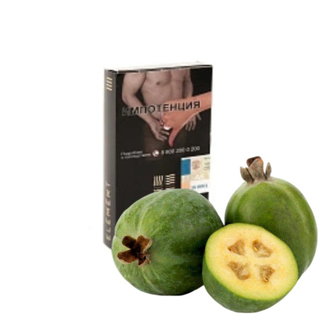изображение товара Табак Element (Земля) Kashmir Feijoa (Кашмир Фейхоа) 25гр