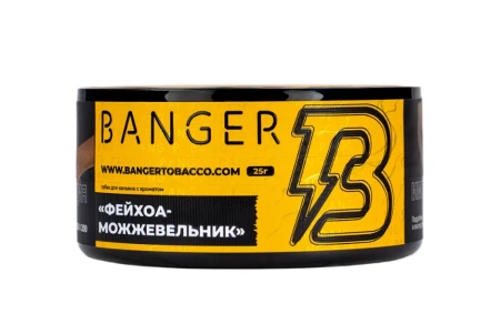 изображение товара Табак Banger Evergreen (Фейхоа, можжевельник) 25г