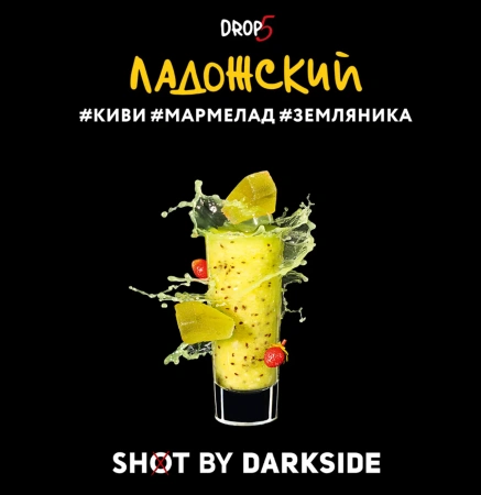 изображение товара Табак Darkside SHOT (Ладожский) 120г
