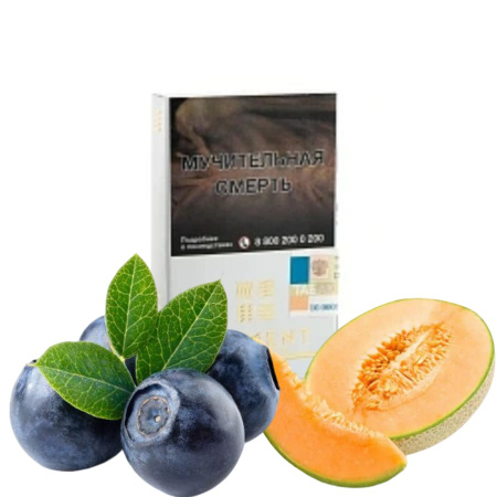 изображение товара Табак Element (Воздух) Noirmelon (Дыня Черника) 25гр