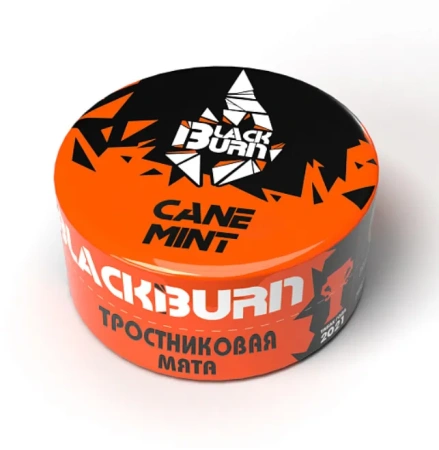 изображение товара Табак Black Burn - Cane Mint (Тростниковая мята) - 25г