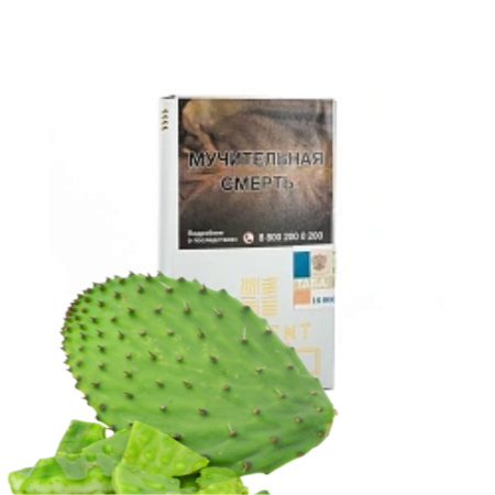 изображение товара Табак Element (Воздух) Cactus Fig (кактусовый финик) 25гр