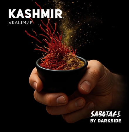 изображение товара Табак Darkside SABOTAGE KASHMIR (Индийские специи) 250г