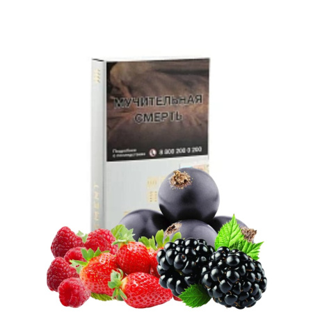 изображение товара Табак Element (Воздух) BerryTale (Лесные Ягоды) 25гр